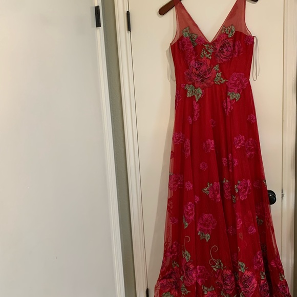 Red hot special occasion beauty - Picture 13 of 15